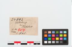 Etiketten zu Bronzedreiknopffibel (NHMW-PRAE-024892)
